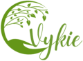vykie 2026 logo