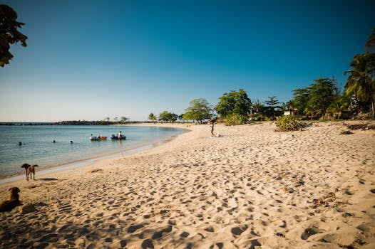 Enjoy a relaxing day at Montego Bay's scenic beach with clear waters and vibrant atmosphere.